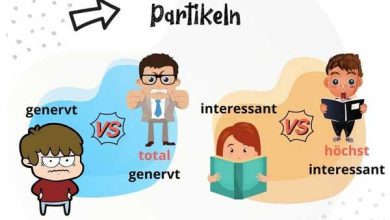 پارتیکل های المانی