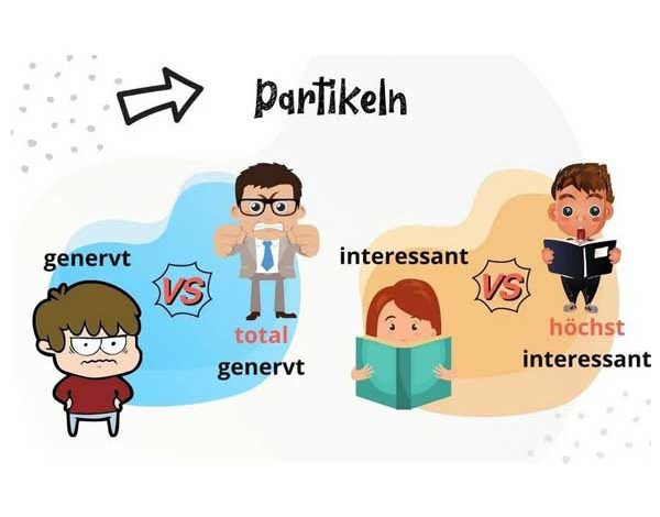 پارتیکل های المانی