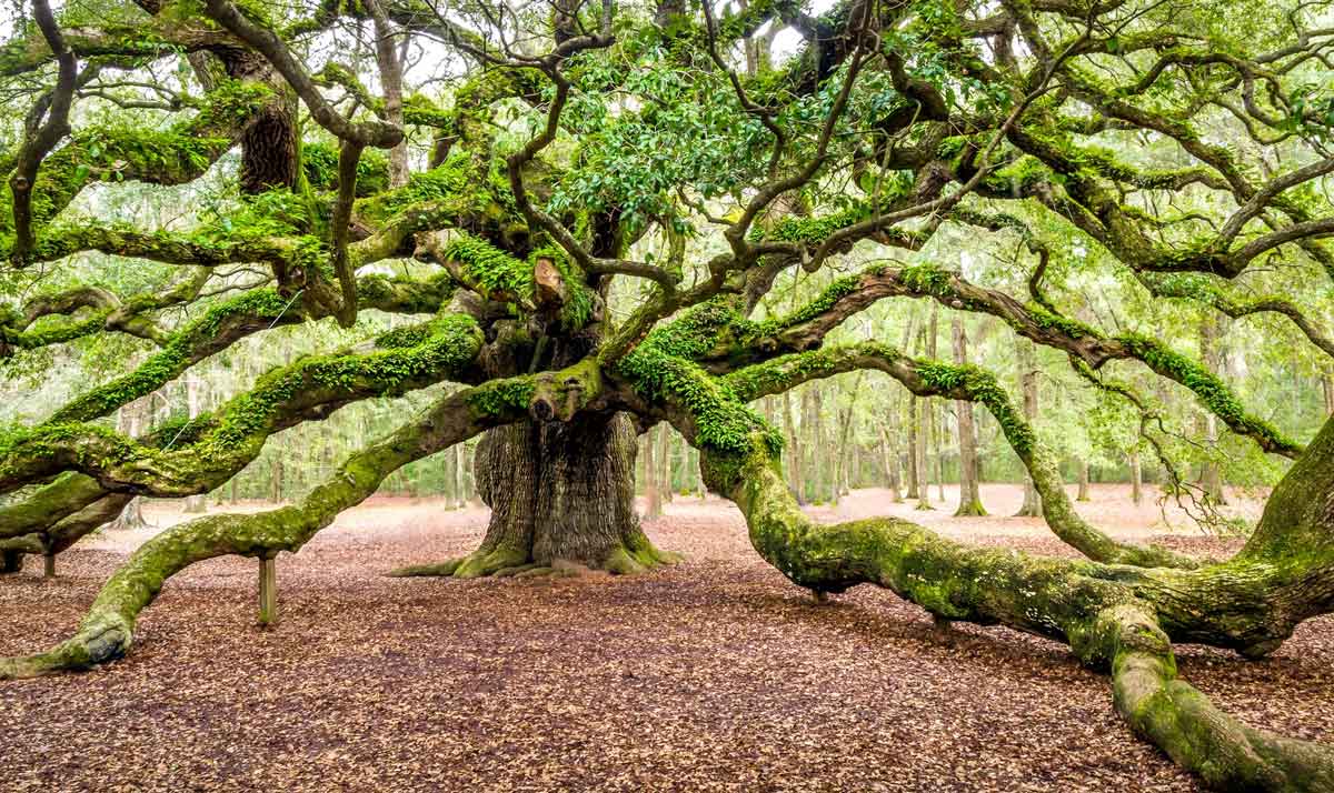 50 جاذبه گردشگری در آمریکا