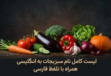 لیست کامل نام سبزیجات به انگلیسی بهمراه تلفظ فارسی